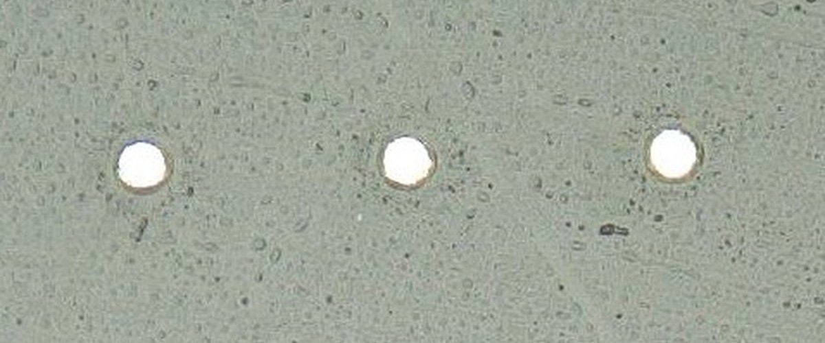 Circles in a square