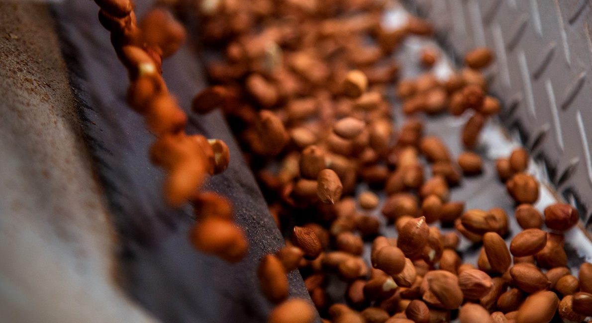 Nuts_iStock-844233724_low_ress_Top