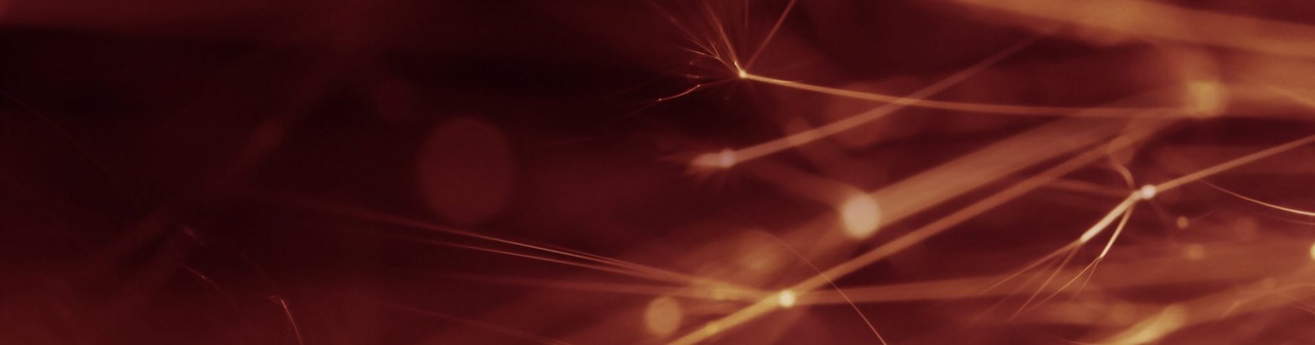Biomedical imaging and diagnostics enabled by SuperK FIANIUM supercontinuum laser
