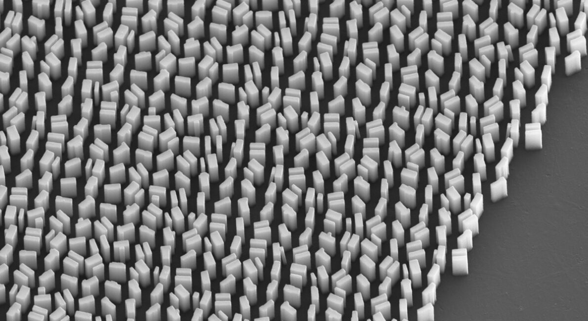 A scanning electron microscopic image of an e-beam fabricated metalens.