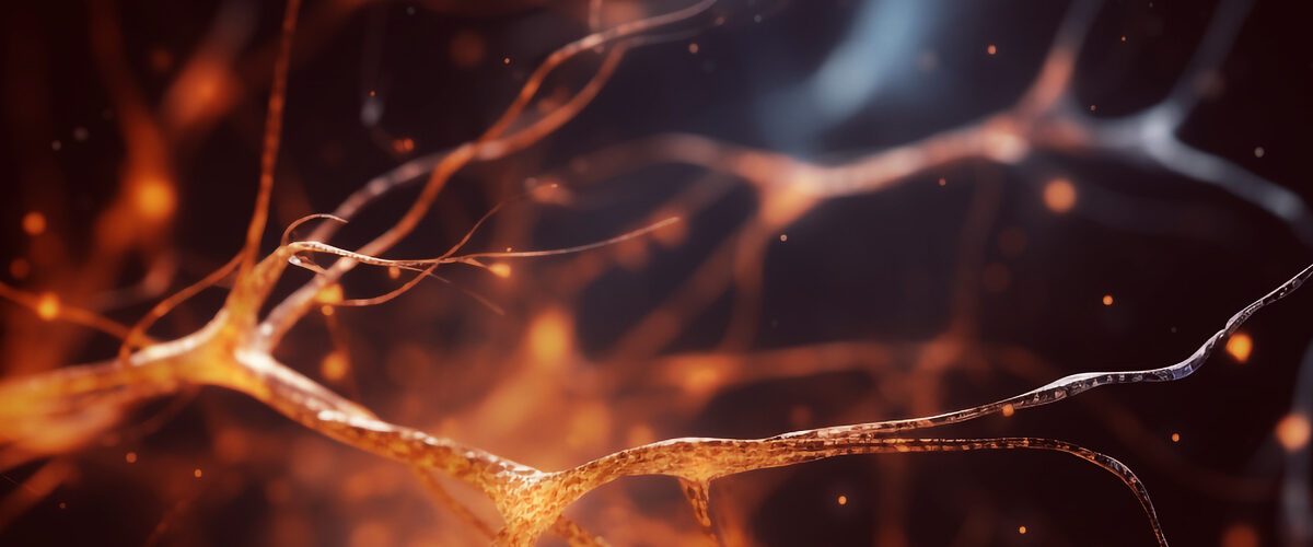 Neuroscientists make neurons light up in the brain using lasers