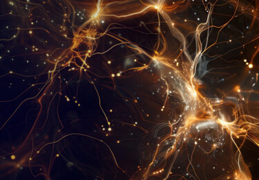 Knowledge Zone